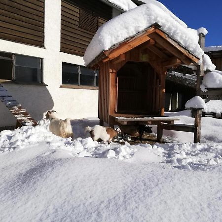 Zweimaederlhaus Leilighet Bad Mitterndorf Eksteriør bilde