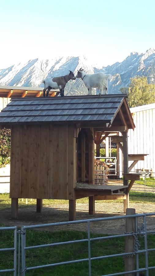 Zweimaederlhaus Leilighet Bad Mitterndorf Eksteriør bilde
