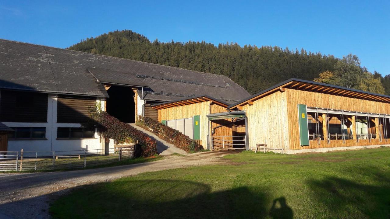 Zweimaederlhaus Leilighet Bad Mitterndorf Eksteriør bilde