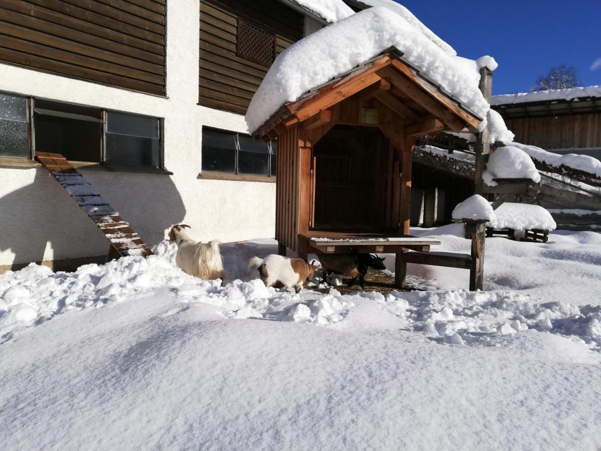 Zweimaederlhaus Leilighet Bad Mitterndorf Eksteriør bilde